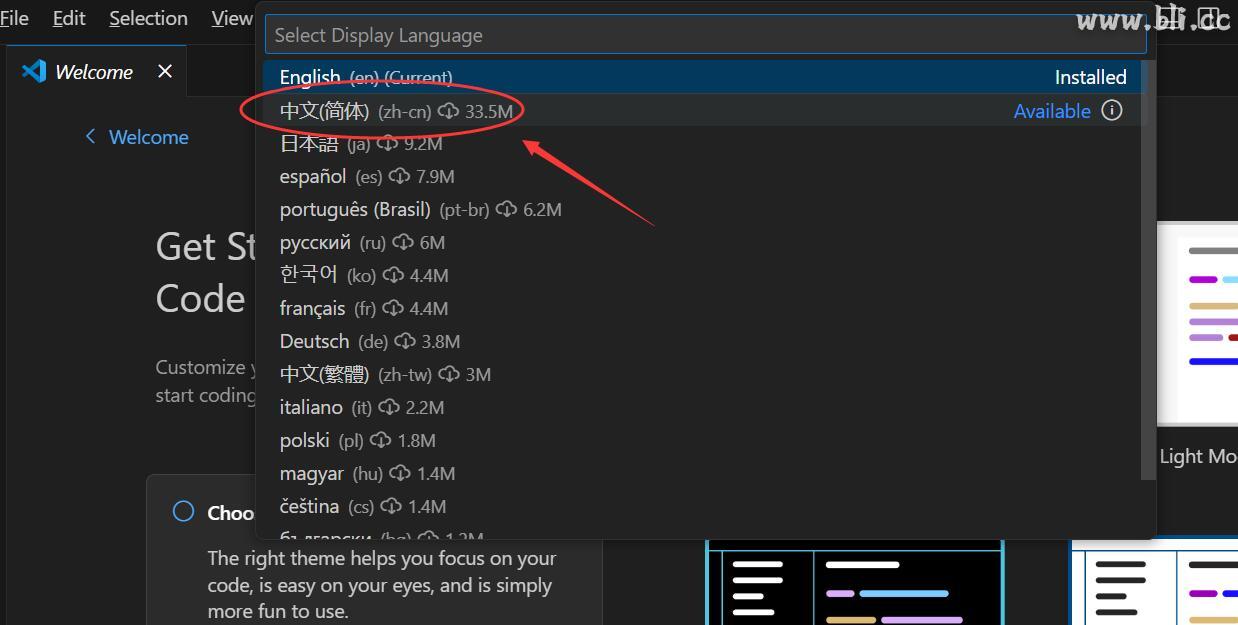 2024最新版 Visual Studio Code 如何切换到中文版 中文 第4张